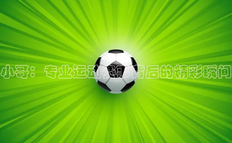 杏悦2娱乐平台