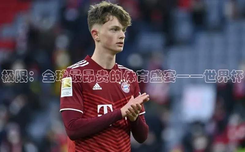 极限：全球最昂贵的体育盛宴——世界杯