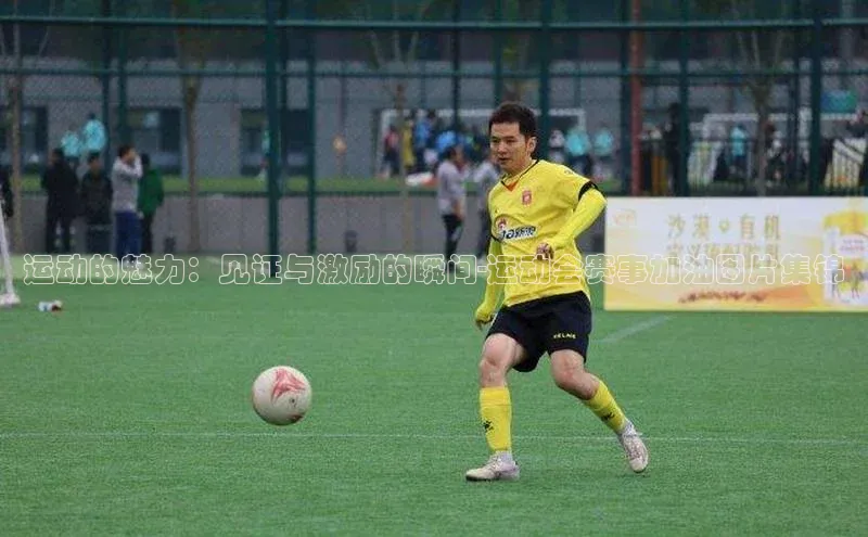 杏悦2手机客户端下载
